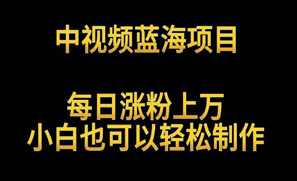 中视频解读英雄人物项目-柚子网创