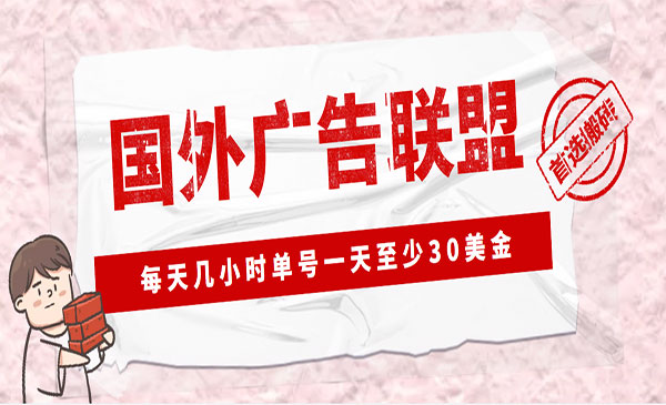 LEAD广告联盟搬砖项目，单号30美金一天-柚子网创