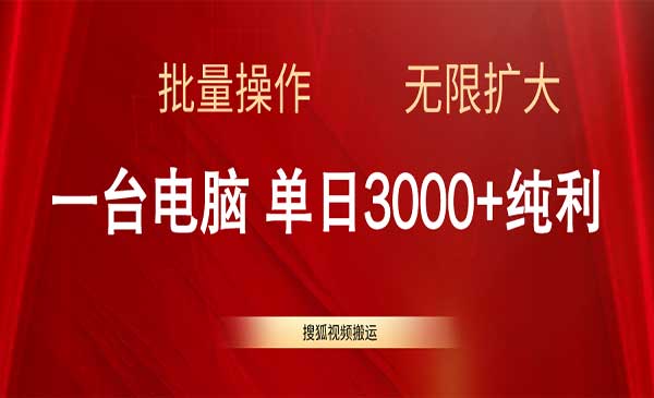 搜狐视频搬运项目，单日3000+-柚子网创