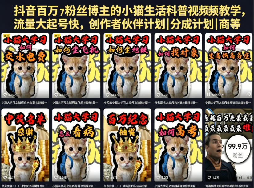 抖音百万粉丝博主的小猫生活科普视频教学，流量大起号快，创作者伙伴计划|分成计划|商单|收徒等-柚子网创