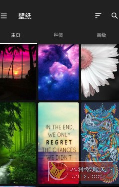 ZEDGE 铃声和壁纸v8.94.0高级版-柚子网创