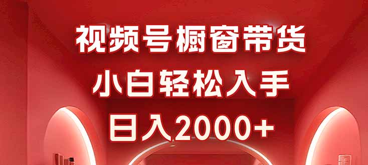 视频号橱窗带货，小白轻松入手，日入2000+-柚子网创