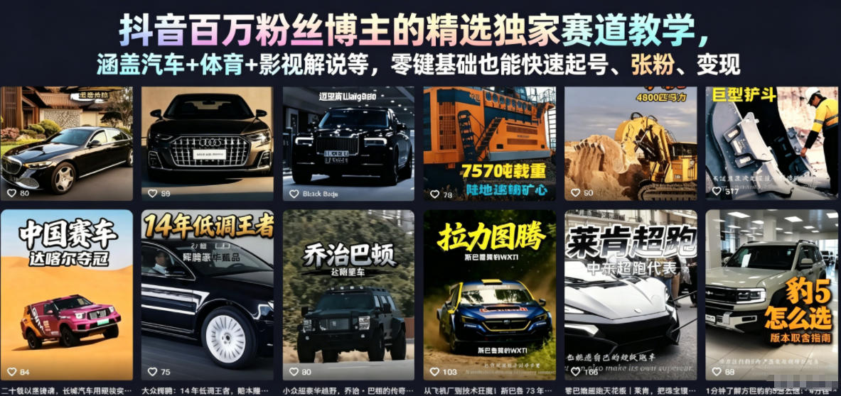 抖音百万粉丝博主的精选独家赛道教学，涵盖汽车+体育+影视解说等，零基础也能快速起号、涨粉、变现-柚子网创