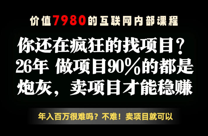 26年请不要疯狂的找项目了，卖项目远比你想象的暴利，你也可以月入10W+【揭秘】-柚子网创