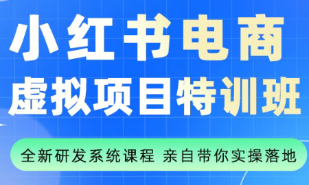 陆明明·小红书虚拟项目特训班(更新9月)-柚子网创