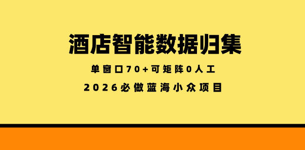 酒店智能数据归集，小众蓝海已经稳定半年之久，单窗口70+零成本矩阵开干【揭秘】-柚子网创
