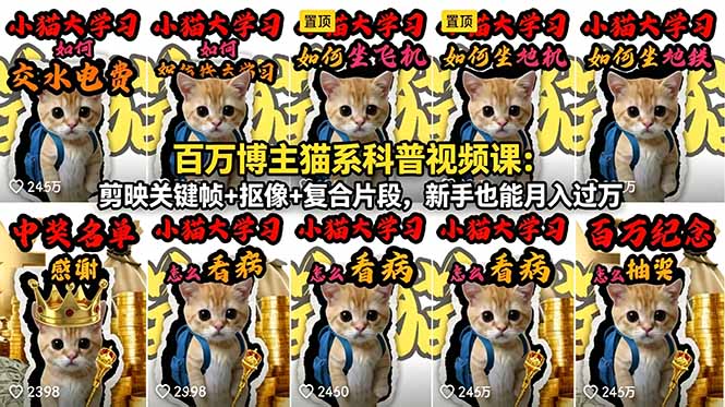 百万博主猫系科普视频课：剪映关键帧+抠像+复合片段，新手也能月入过万-柚子网创