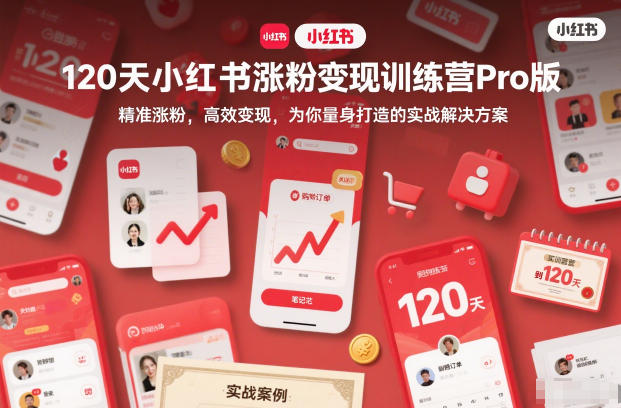 120天小红书涨粉变现训练营Pro版，精准涨粉，高效变现，为你量身打造的实战解决方案-柚子网创